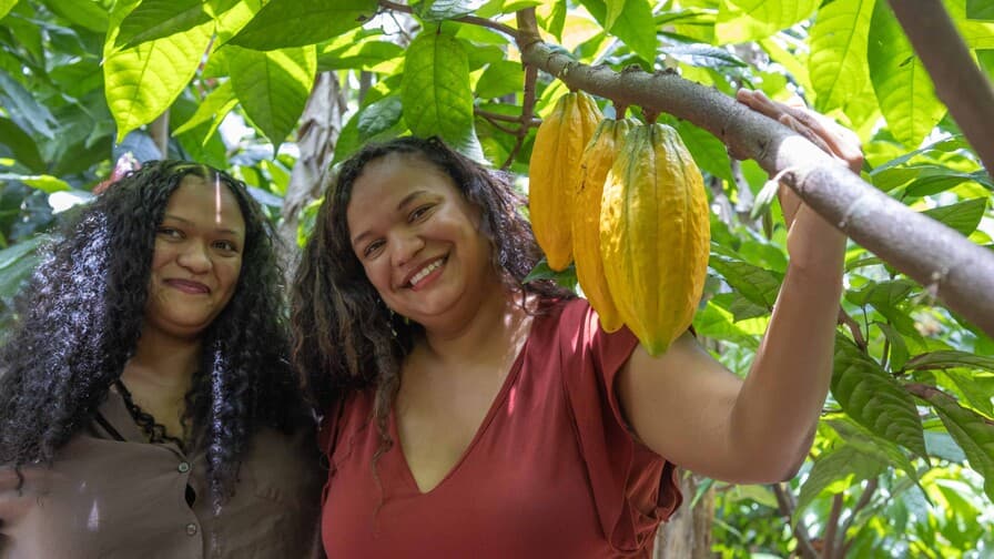 Imagen para: Las hermanas dominicanas que llevan el cacao del país al mundo